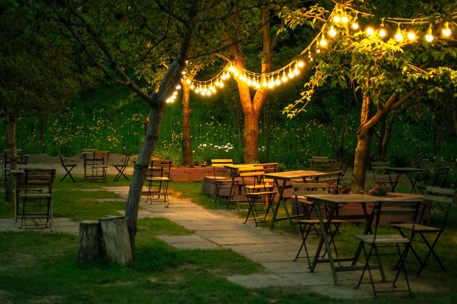 A garden setting illuminated after dark